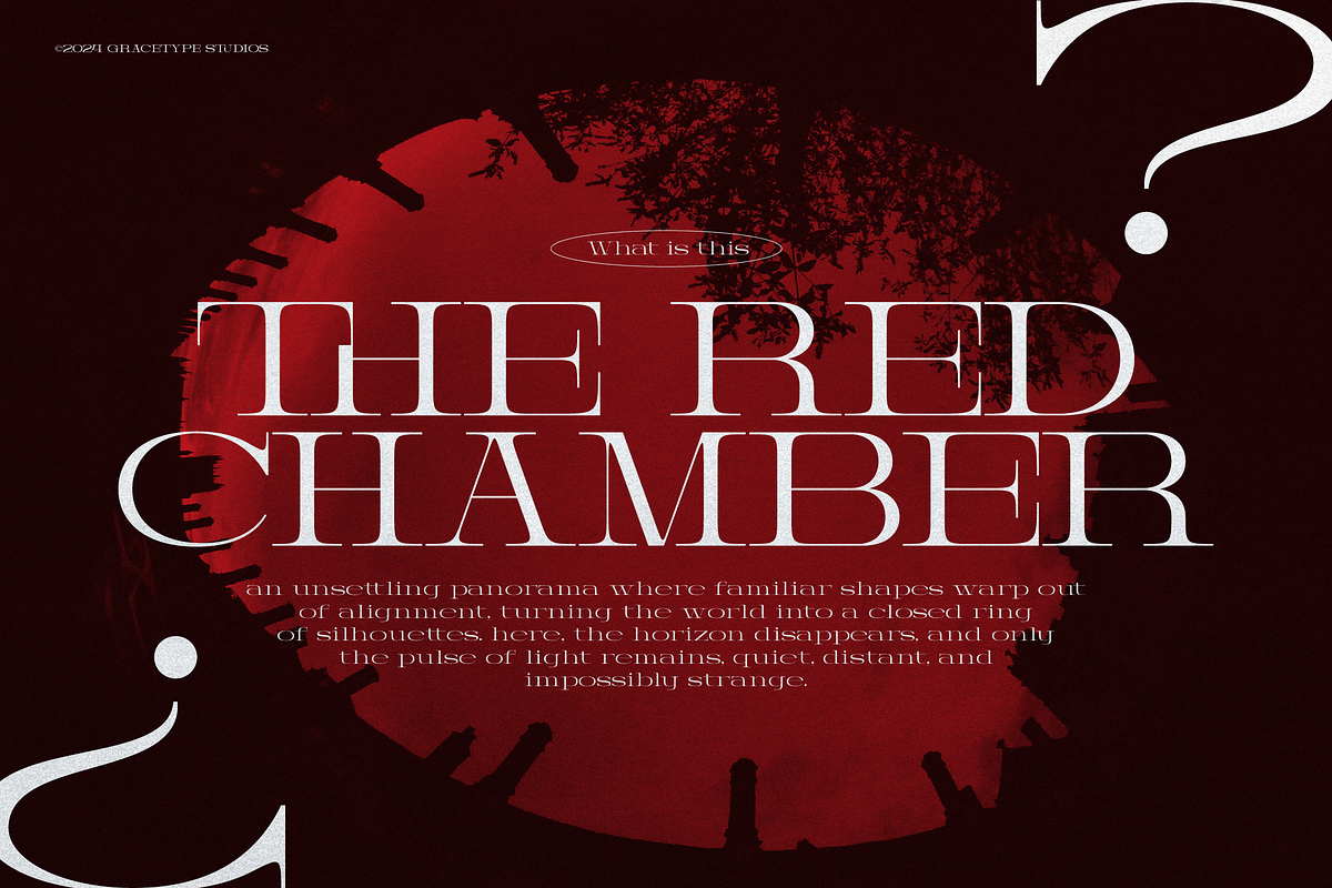 Prostetrix | Serif Typeface, a Serif Font by gracetype_studio (Photo 3 of 12)