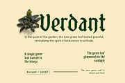 CS Alore Drawn, a Blackletter Font by Craft Supply Co. (Thumbnail 2 of 8)