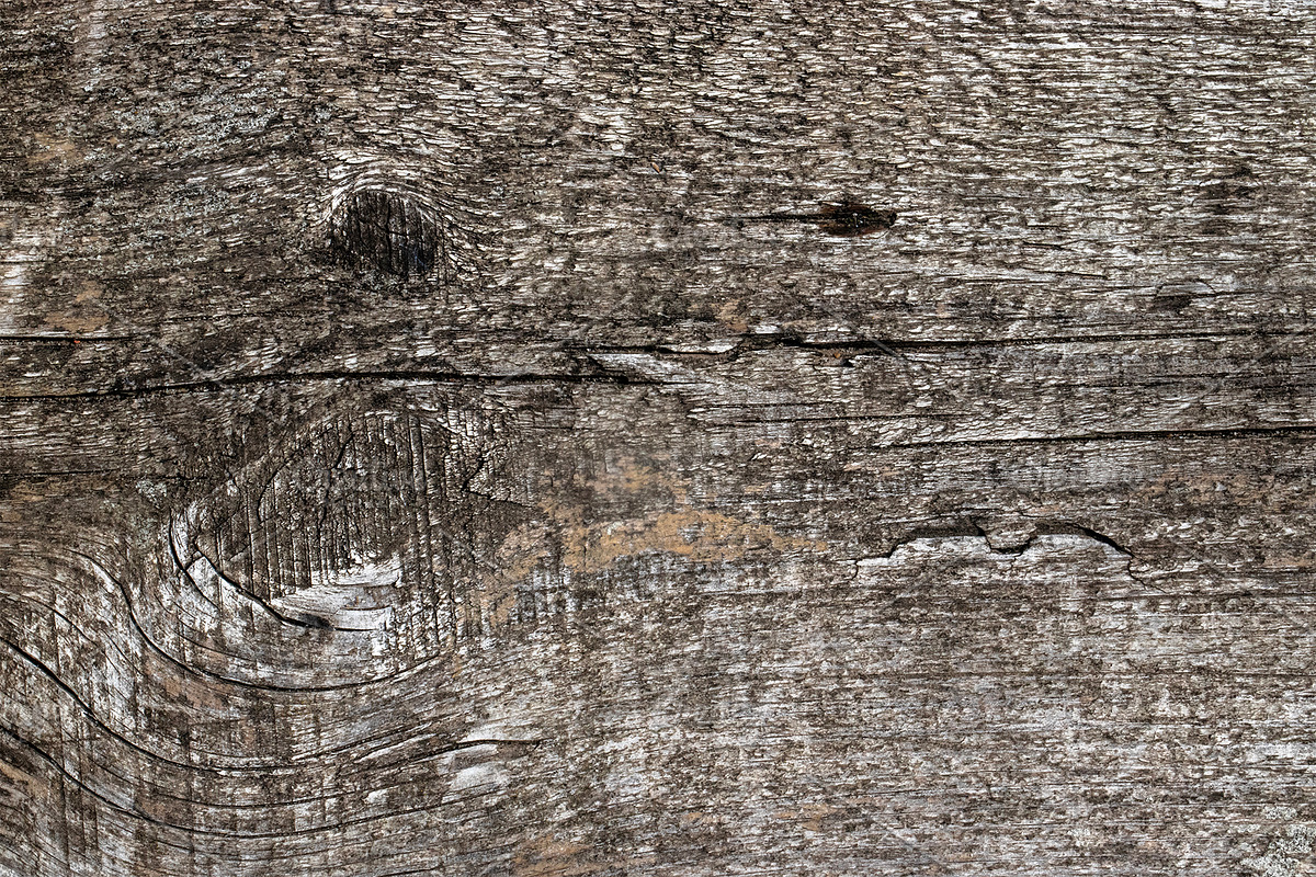 Natural wood texture patterns, a Background Photo by Schreibikus (Photo 6 of 8)