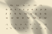 Andin Elegant Serif Font, a Serif Font by Perfectype (Thumbnail 8 of 8)