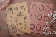 Touch of Nature Collection, a Decorative Illustration by Michael Rayback Design (Thumbnail 7 of 20)