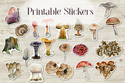 America Mushroom Watercolor Set, an Education Illustration by Tati Bordiu (Thumbnail 5 of 6)
