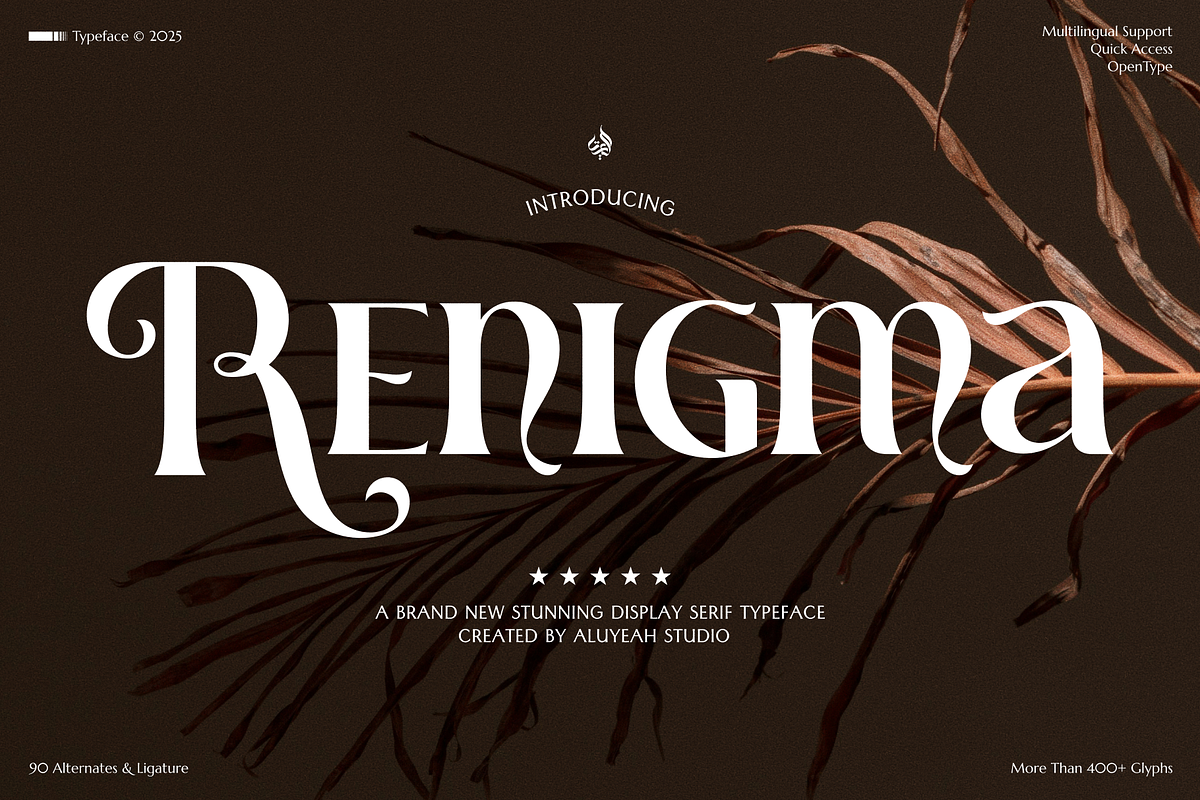 Renigma, a Serif Font by Aluyeah Studio (Photo 1 of 15)