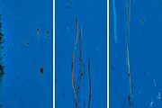 Blue rusted metal textures, a Texture Graphic by The Shop (Thumbnail 8 of 30)