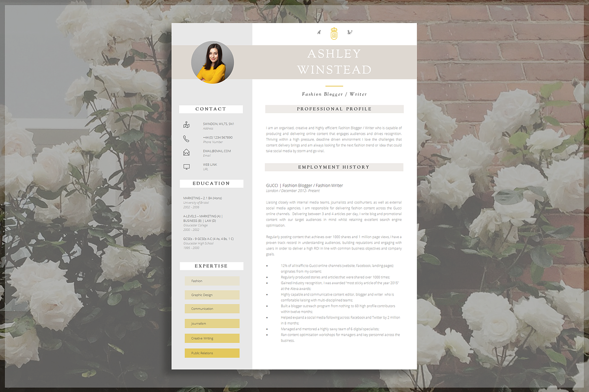 2 Page CV Template, a Resume Template by introDuice - CV / Resumes (Photo 1 of 8)