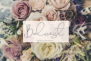 Beverly Hills, a Script Font by Larin Type Co. (Thumbnail 11 of 11)