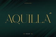 Aquilla, a Serif Font by Pinisi ART (Thumbnail 1 of 10)