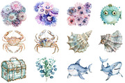 Watercolor Under the Sea Clipart, an Illustration by DreamCafeArt (Thumbnail 5 of 8)