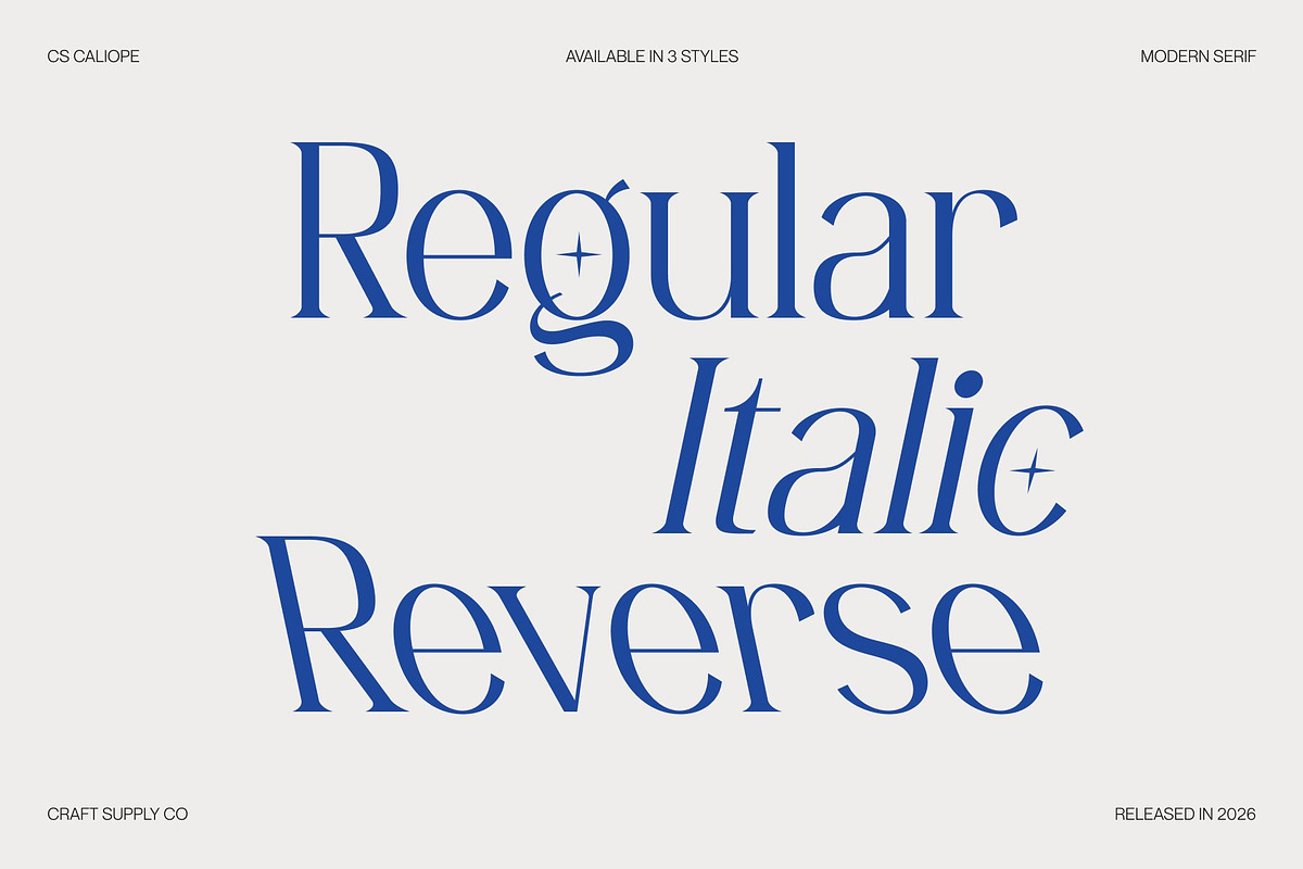 CS Caliope – Aesthetic Font, a Serif Font by Craft Supply Co. (Photo 3 of 8)
