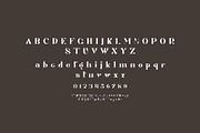 Jegan Serif Typeface, a Serif Font by yaqublekker (Thumbnail 8 of 8)