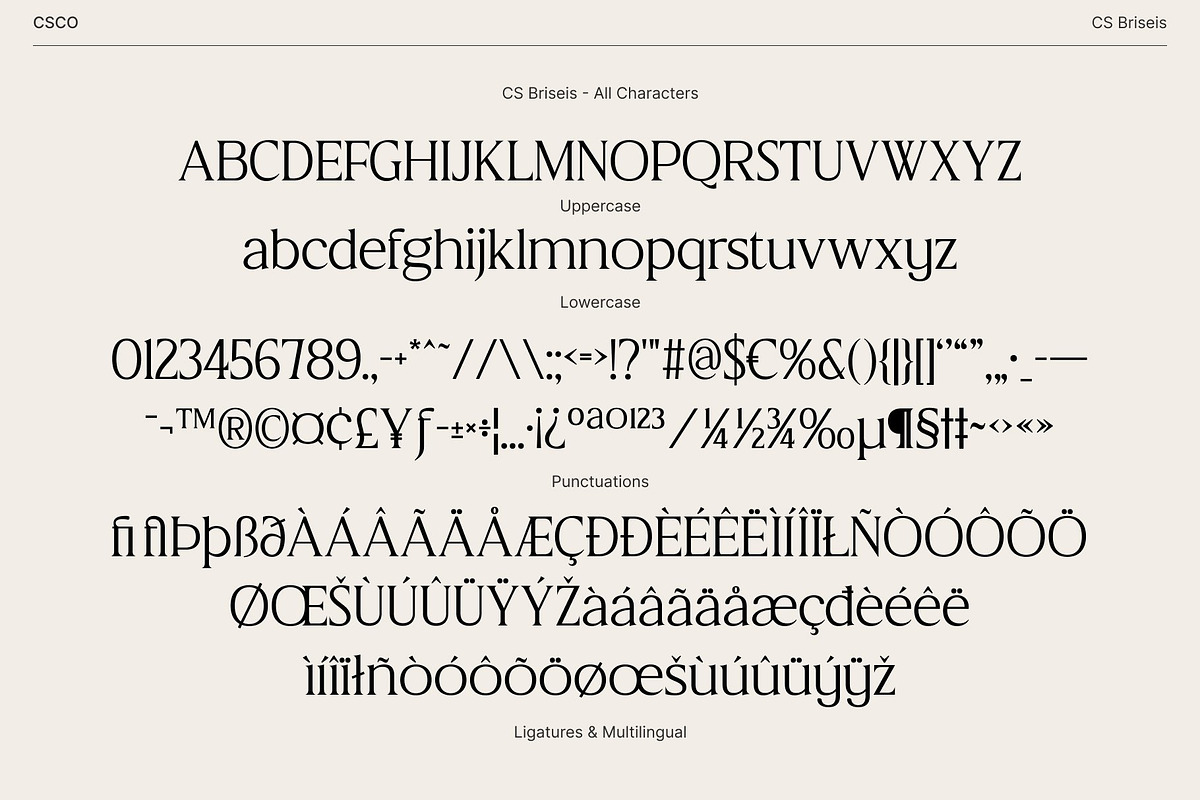 CS Briseis – Luxury Serif Font, a Serif Font by Craft Supply Co. (Photo 8 of 8)