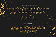 Hollinet Signature, a Handwritten Font by Siwox Studios (Thumbnail 7 of 8)