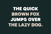 Kniga - Rugged Eroded Typeface, a Sans Serif Font by alpercakici (Thumbnail 18 of 19)