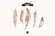 Feathers watercolor, an Illustration by MendozaVergara (Thumbnail 3 of 3)