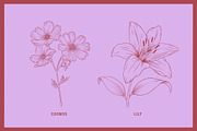Vintage Tropical Flora Illustrations, an Object Illustration by Jaclyn Caris (Thumbnail 4 of 15)