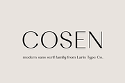 Cosen Font Family, a Sans Serif Font by Larin Type Co. (Thumbnail 1 of 14)