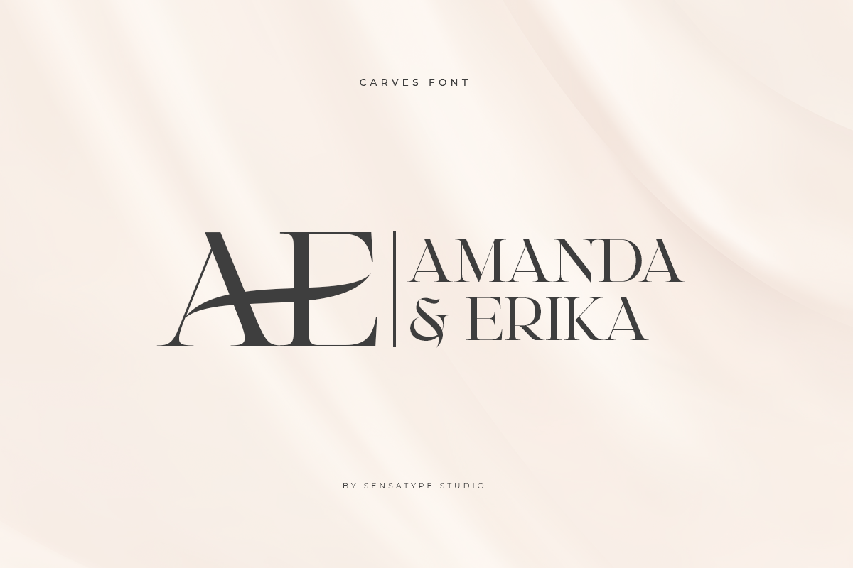 CARVES - Modern Display Font, a Sans Serif Font by Sensatype (Photo 9 of 20)