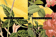 ROSES, an Object Graphic by JIMMY BREEN (Thumbnail 3 of 3)