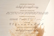 Getting Everything - Modern Font, a Handwritten Font by Bluestype Studio (Thumbnail 9 of 9)