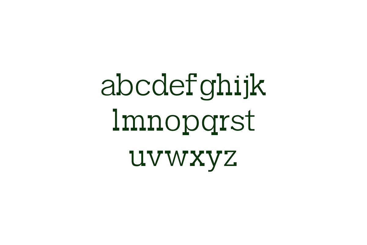 Garvin Slab Serif Font Family preview 3