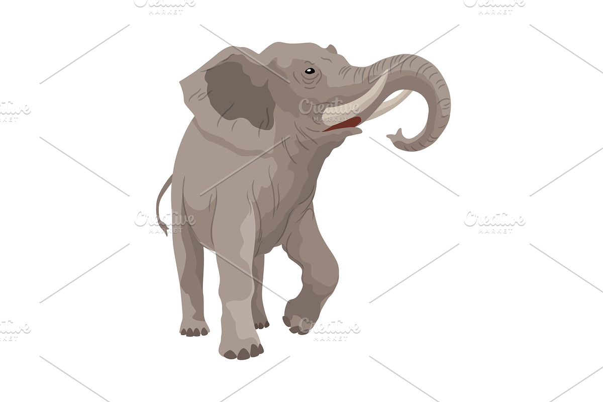 Flat vector elephant in poses, an Animal Illustration by the8monkey