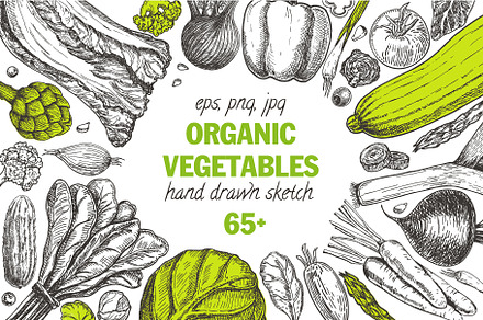 Farm Vegetable Set Sketch