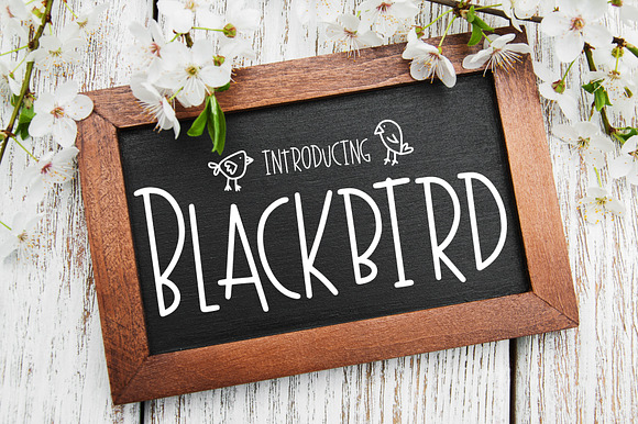 Blackbird preview 2