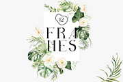 Tropical forest- watercolor greenery, a Decorative Illustration by Pamyatka Shop (Thumbnail 9 of 13)