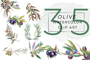 OLIVE Watercolor Clip Art