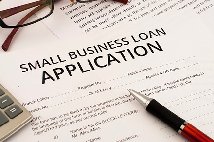 small business loan form preview 6