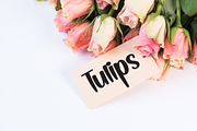 Hello Sunshine | Script Font, a Handwritten Font by Scratchones (Thumbnail 2 of 9)