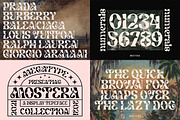 The Premium Creation Font Bundle, a Serif Font by Megatype (Thumbnail 14 of 56)