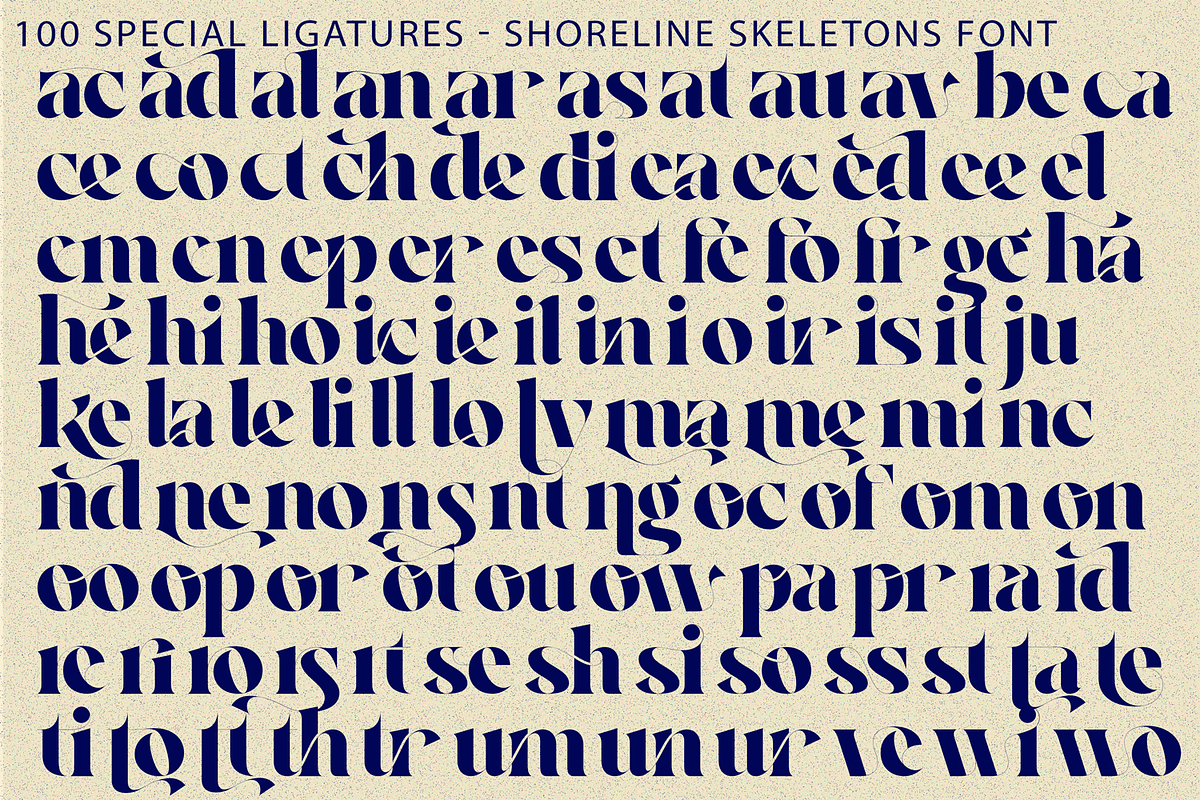 Shoreline Skeletons - ligatures Font, a Serif Font by 177Studio (Photo 8 of 8)
