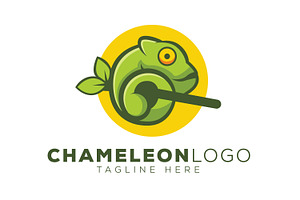 Chameleon Logo, a Branding & Logo Template by Esrastion
