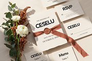 Ceselu - A Refined Luxury Serif, a Serif Font by Astuti Studio (Thumbnail 11 of 24)