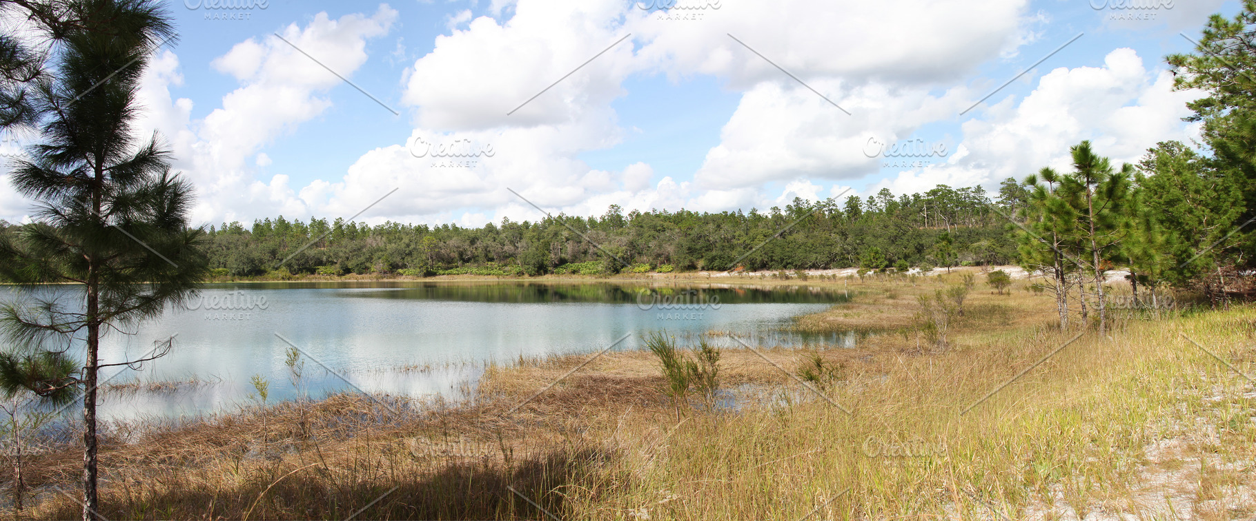 Lake in Gold Head Branch State Park, a Nature Photo by Viktor