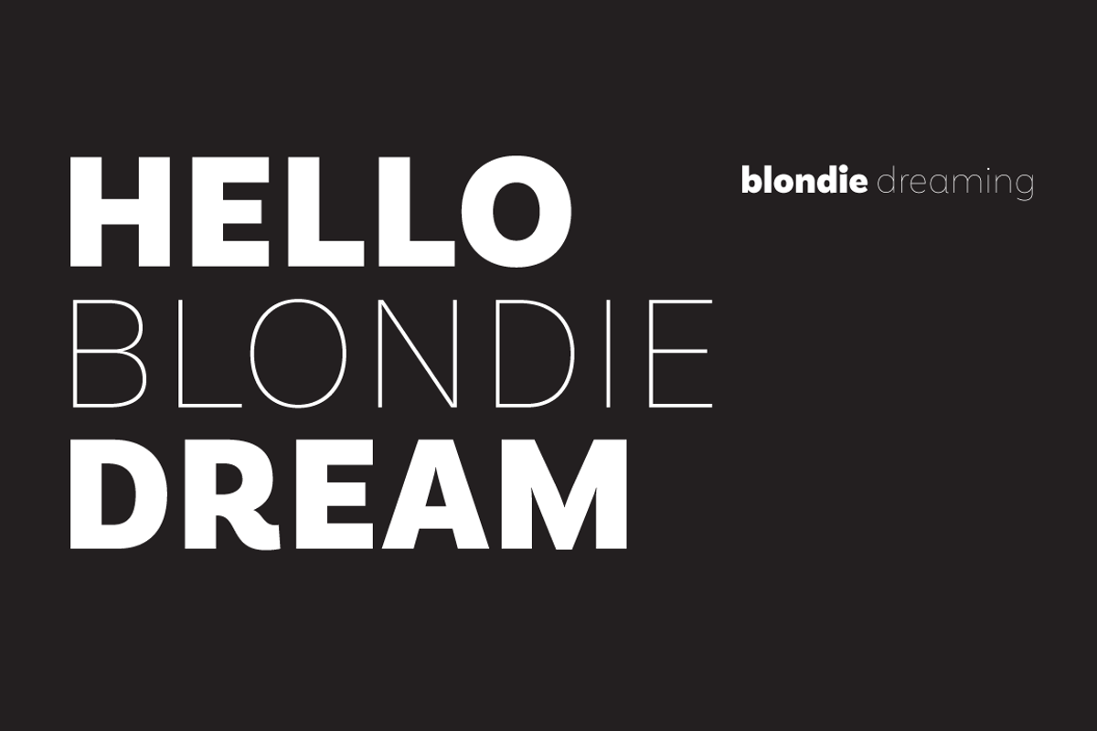 Basic Sans, a Sans Serif Font by Latinotype (Photo 6 of 10)