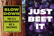 Bookable Sans Collection, a Sans Serif Font by Stiggy & Sands (Thumbnail 3 of 12)