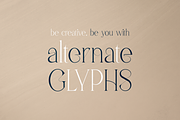 Malinger - Elegant Serif Font, a Serif Font by VP Fonts (Thumbnail 10 of 20)