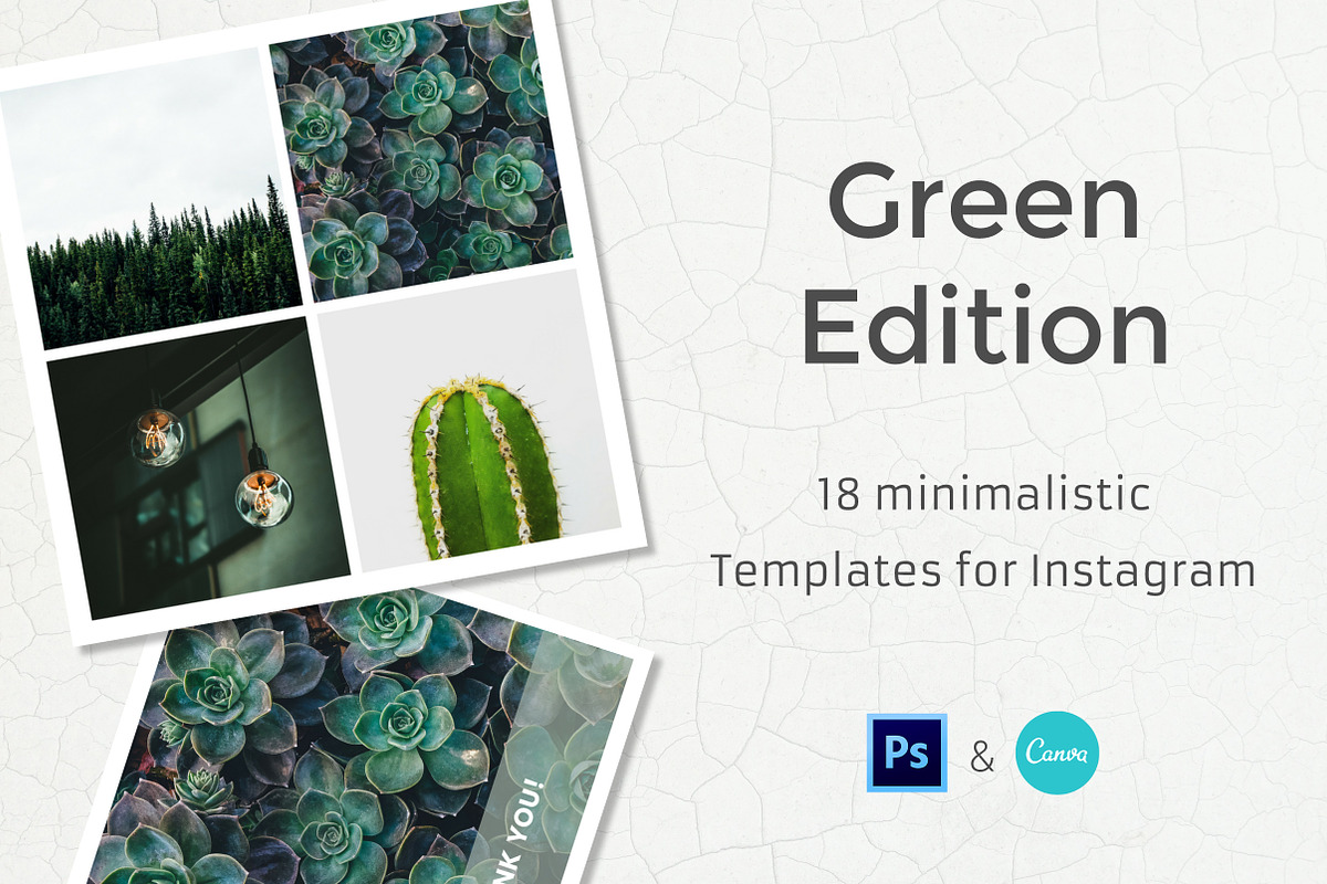 Green - 18 Instagram Templates, a Social Media Template by Annemiek van Luinen (Photo 8 of 8)