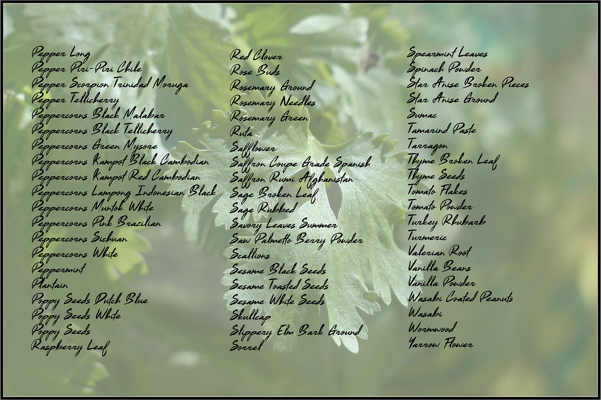Bulk Herbs & Spices Gradients preview 6