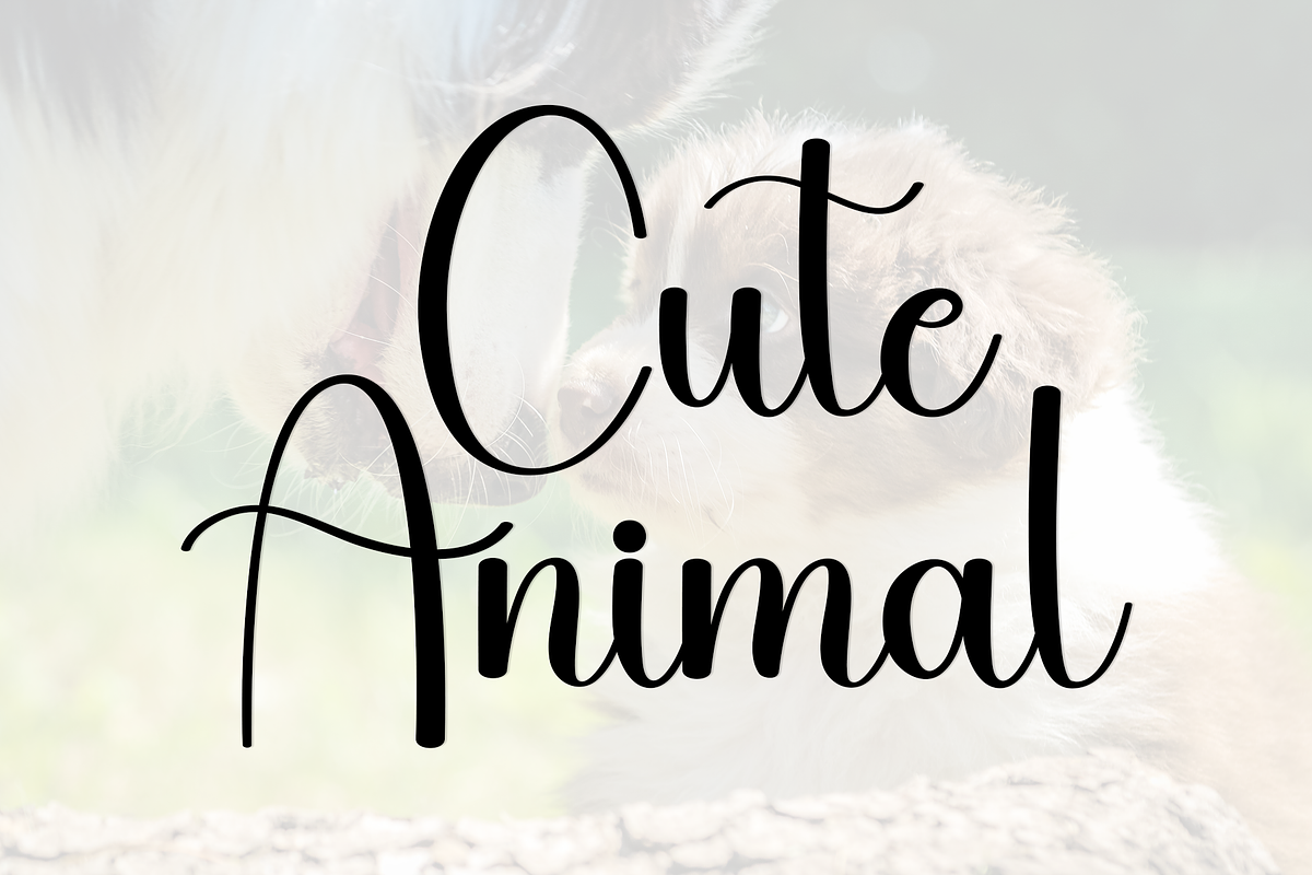 Cute Darling, a Handwritten Font by InermediaSTUDIO (Photo 7 of 8)