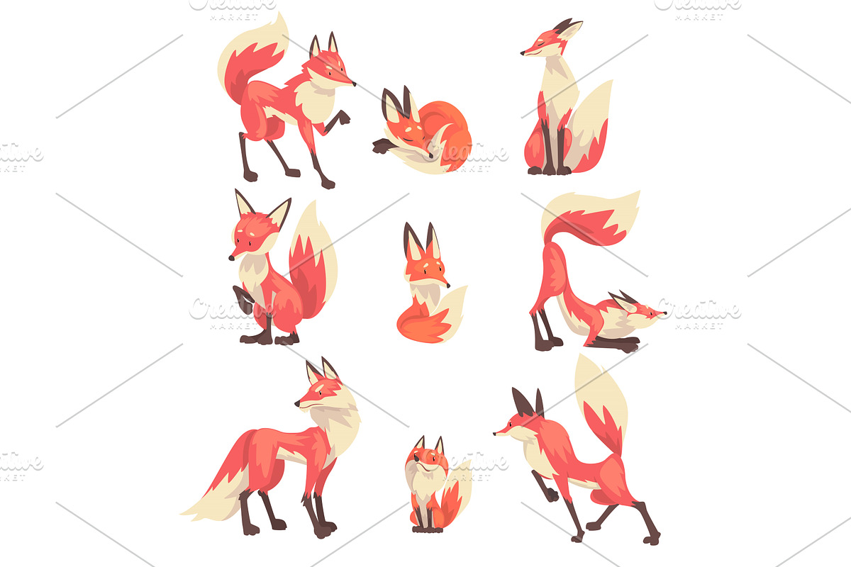 Collection of Cute Red Foxes, an Animal Illustration by TopVectors