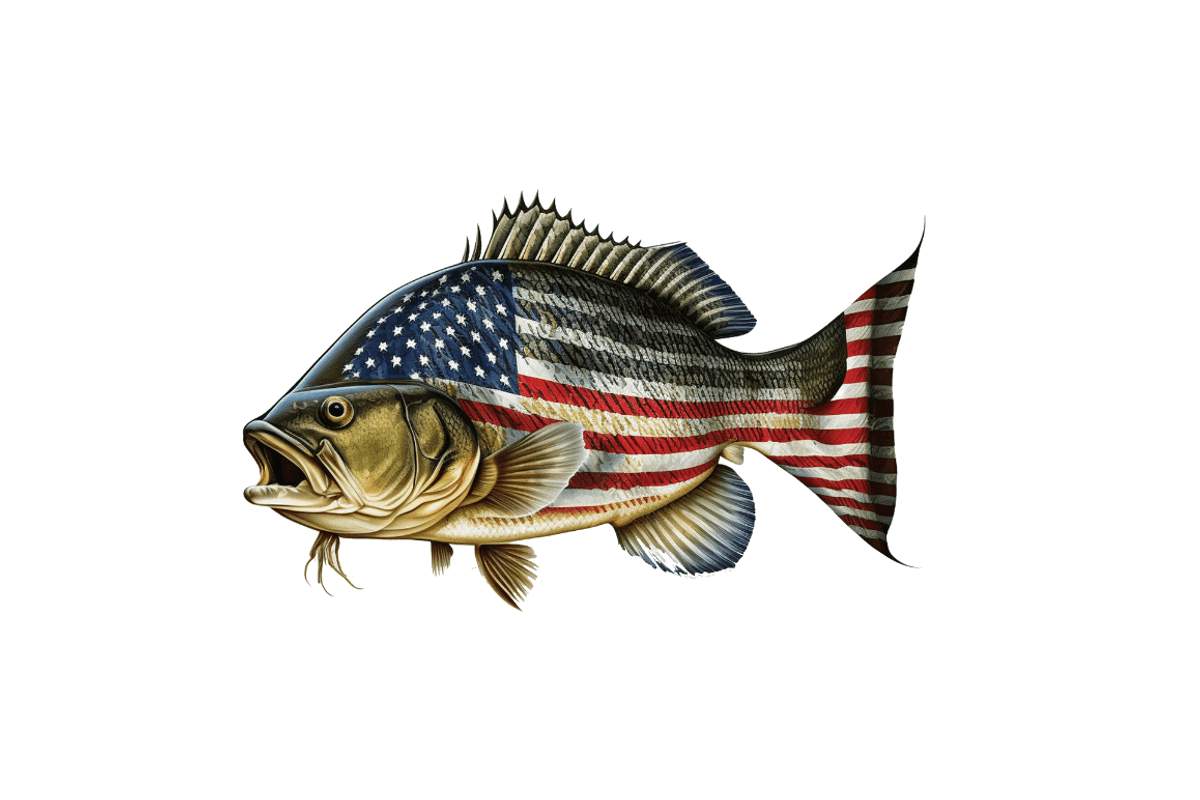 Fish American Flag Sublimation Clipa, an Object Graphic by Regulrcrative (Photo 5 of 7)