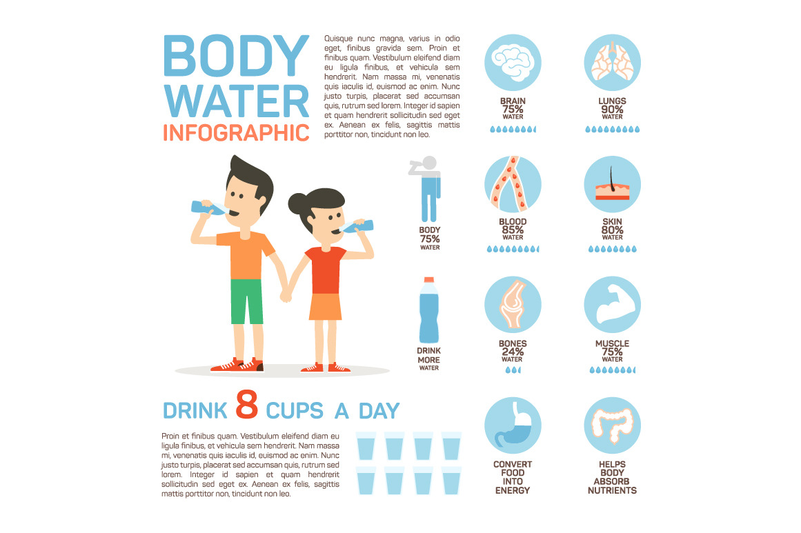 Flat vector body water infographic, an Icon by Elegant Solution