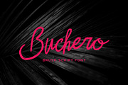 Buchero Brush Script Font, a Script Font by Dawnside Graphic (Thumbnail 1 of 13)