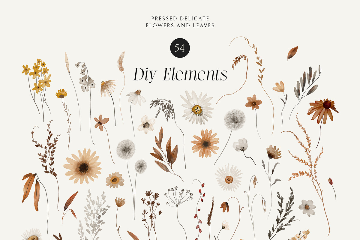 Fall Florals - watercolor set, a Seasonal Illustration by AleksaArt (Photo 9 of 13)