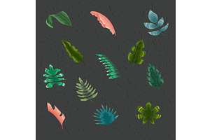twelve tropical leafs icons, an Illustration by studiogstock