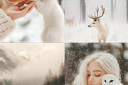 210 Christmas Winter Stock Photos, a Holiday Photo by Allure Art (Thumbnail 29 of 38)
