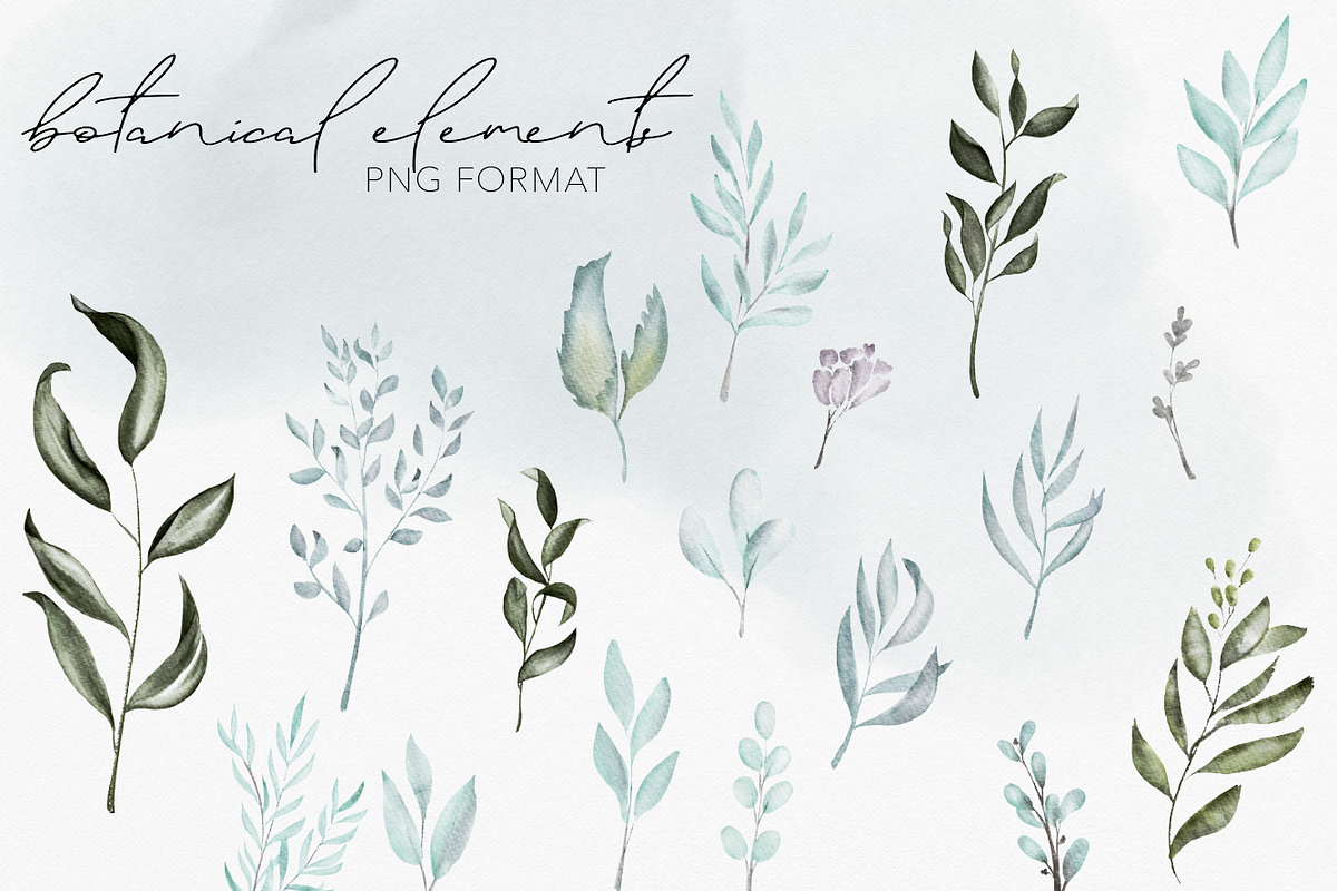 Birds & Botany: Watercolor Frames, a Texture Illustration by Wooly Pronto (Photo 4 of 6)